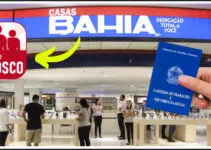 Grupo Casas Bahia Abre Novas Vagas de Emprego para Áreas Tecnológicas; Saiba se Candidatar