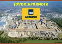 Jovem Aprendiz Gerdau – Veja Como se Inscrever Online