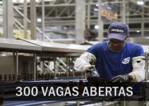 AMBEV está com 300 vagas abertas para candidatos sem experiência de todo o Brasil