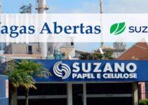 Suzano, indústria de papel e celulose, abre 58 vagas de estágio no RJ, SP, ES, BA , MS e muito mais
