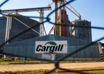 Cargill está oferecendo 192 vagas de estágio na modalidade presencial e home office