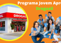 Drogasil está com 60 vagas abertas para o programa Jovem Aprendiz em São Paulo (SP)