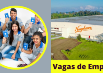 Fábrica de chocolates Neugebauer abre novas vagas de emprego em três estados brasileiros; Candidatura online