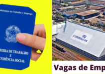 Coopersucar Abre Novas Vagas de Emprego Em Santos e São Paulo