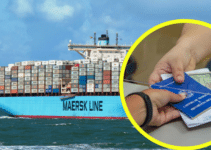 Maersk Abre Vagas de Emprego no Brasil Que Exigem Nível Médio e Superior