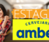 Programa de Estágio Ambev 2025: Inscrições Vão Até Setembro