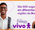 Programa de Estágio Vivo 2024: Inscrições estão Abertas; São 500 Vagas por Todo o Brasil