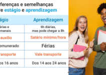 Qual a Diferença Entre Estágio e Jovem Aprendiz? Confira