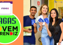 Empresa Indigo Abre Vagas para o Programa Jovem Aprendiz em São Paulo (SP)